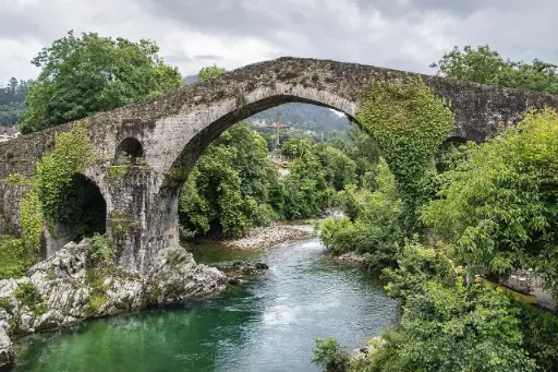 Inspection pont